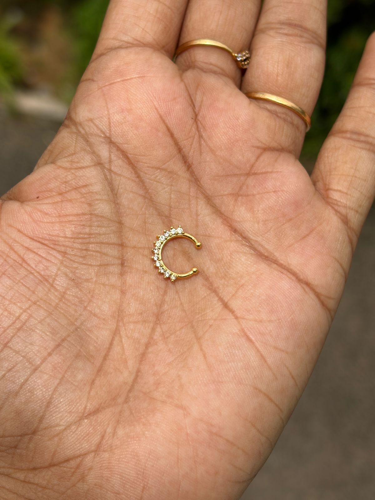 Septum